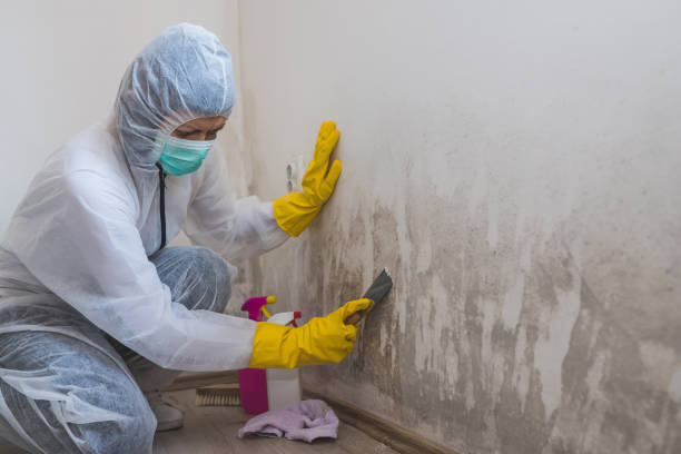 Best Emergency Mold Removal  in Sells, AZ