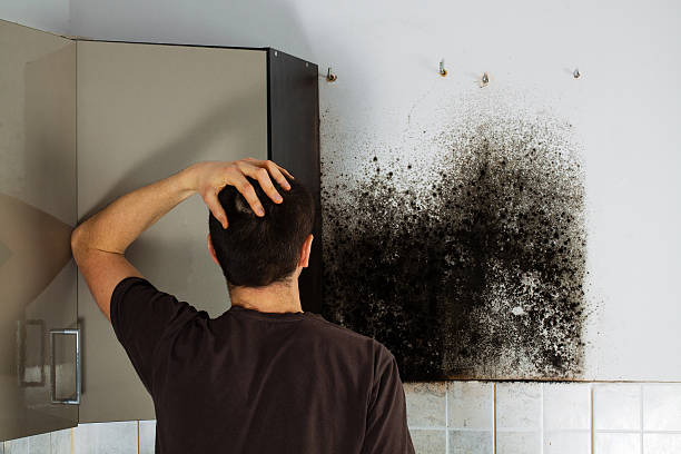 Best Office Mold Removal Services  in Sells, AZ